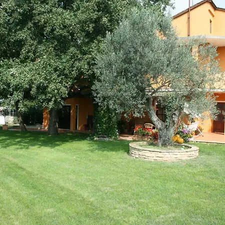 Sossa Umag